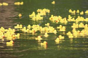 Cheraw Pee Dee River Duck Race (May 3, 2025) – Photos by Bennie Miles-2