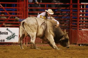 Kreekside Farms Rodeo (Sept. 19, 2025) – Photos by Williams H. Gathings Jr.